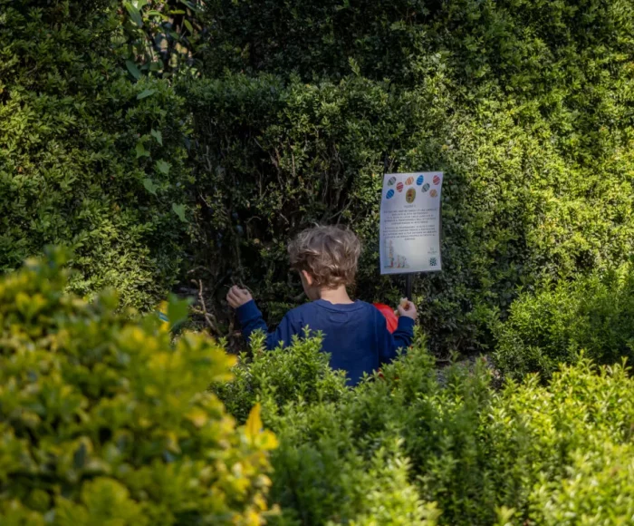 pasquetta-villa-reale-di-marlia-foto-di-giuseppe-panico-9-1024x768 pasquetta-villa-reale-di-marlia-foto-di-giuseppe-panico-9-1024x768